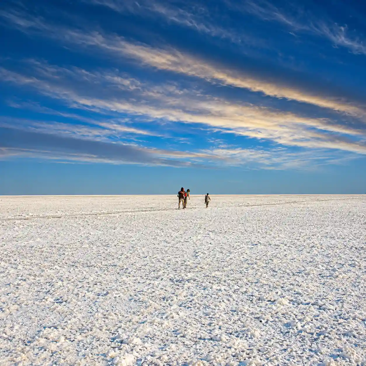 Things To Do In Rann Utsav You Should Not Miss